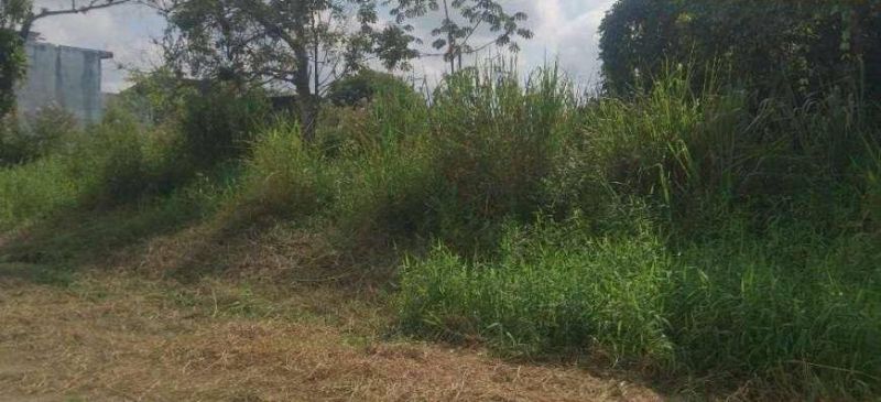 Terreno à venda, 880m² - JARDIM SOMAR,Peruíbe